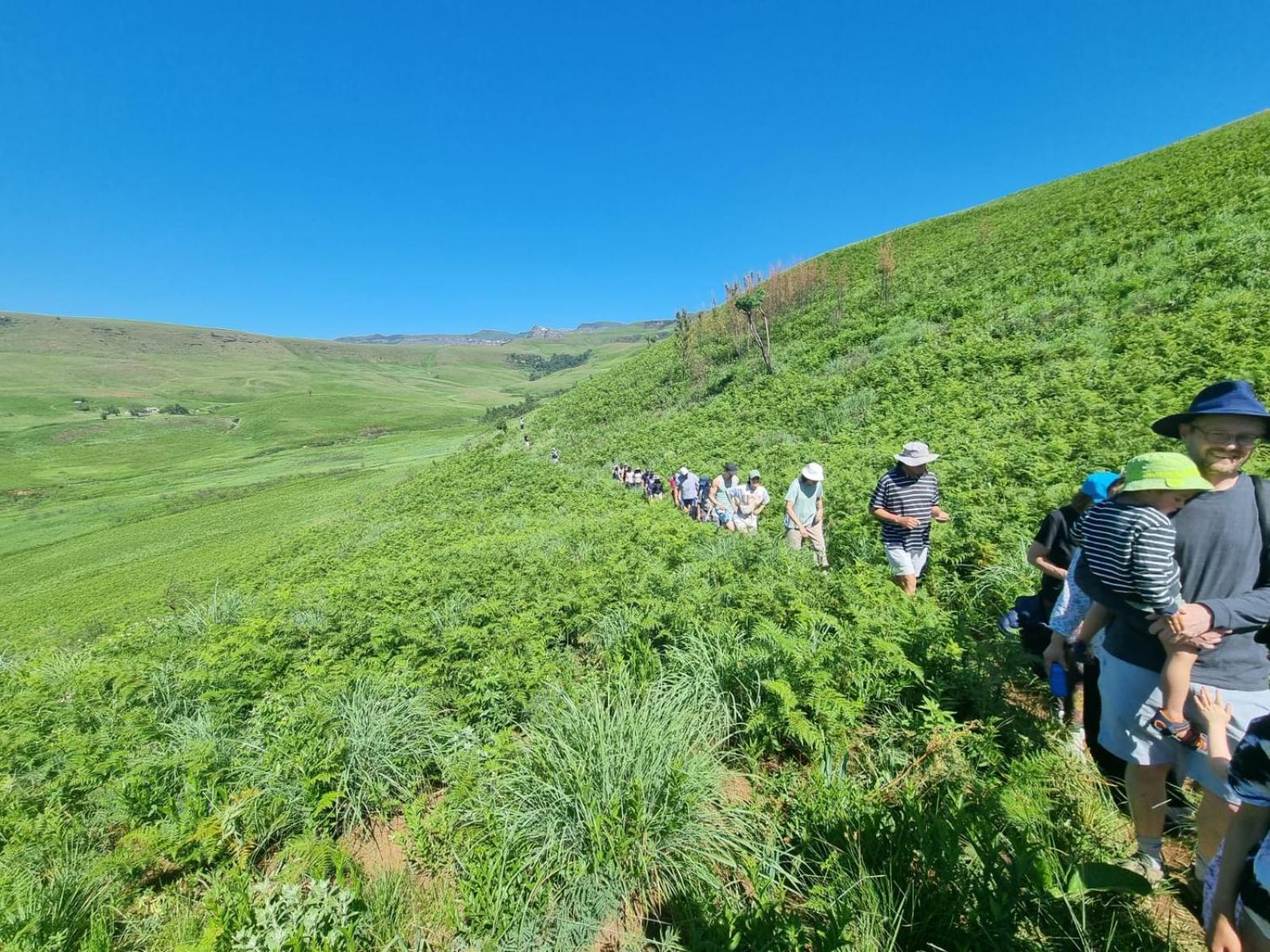 Mont Aux Sources Drakensberg Resort Bonjaneni Eksteriør bilde